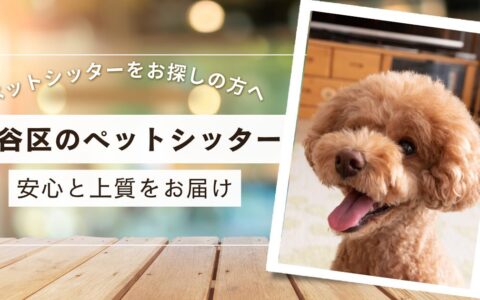 渋谷区　ペットシッター　三冠獲得